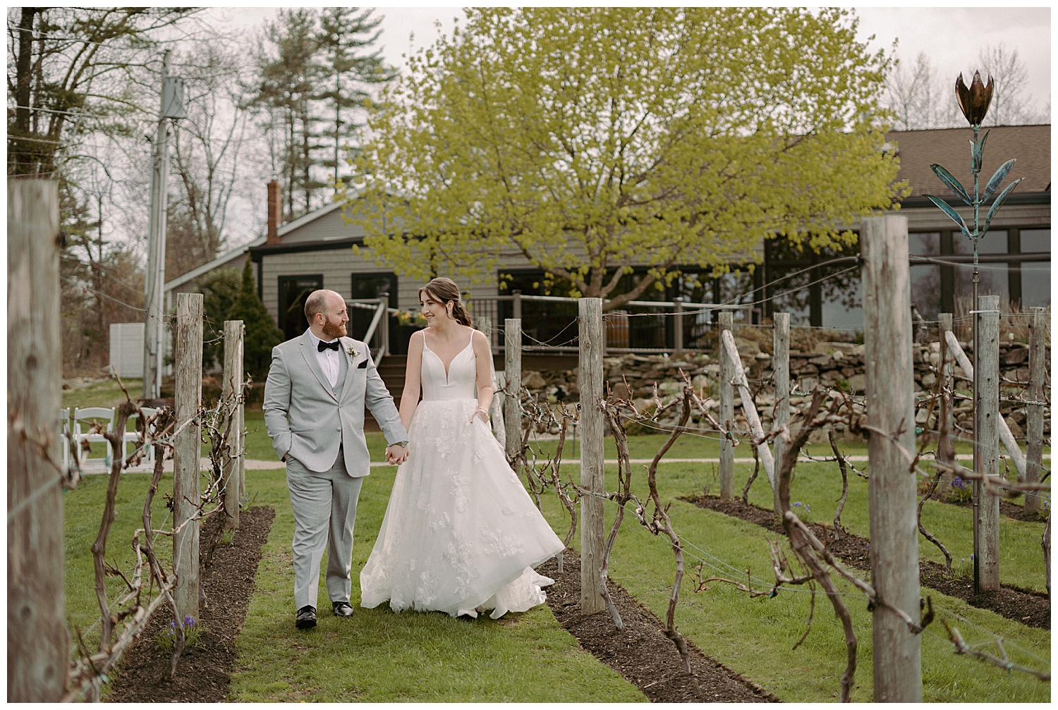 Elegant bride and groom photos in winery vineyards