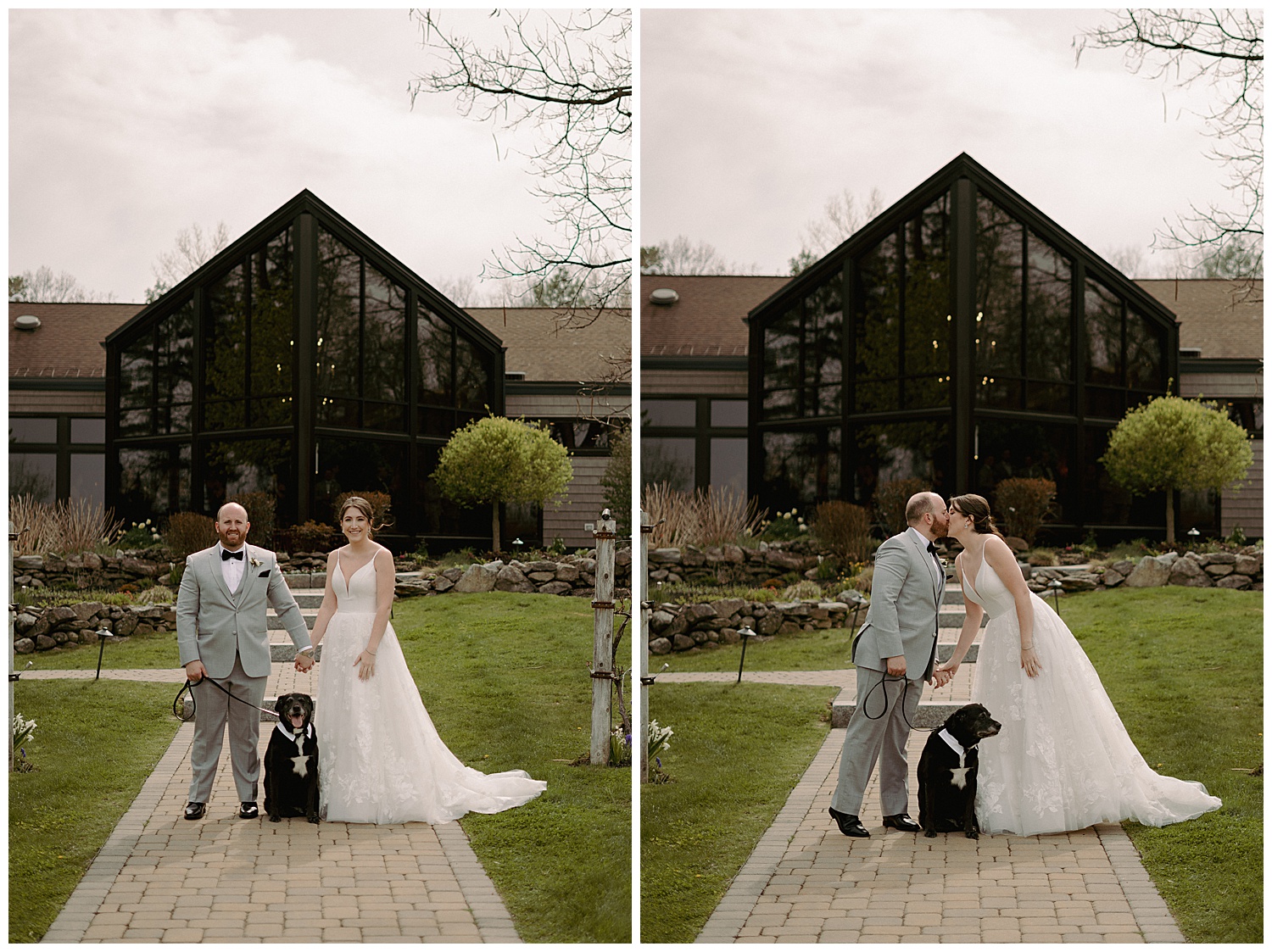 Elegant bride and groom photos in winery vineyards with their dog